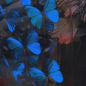 灌肠➕憋尿➕调教灌肠打屁
